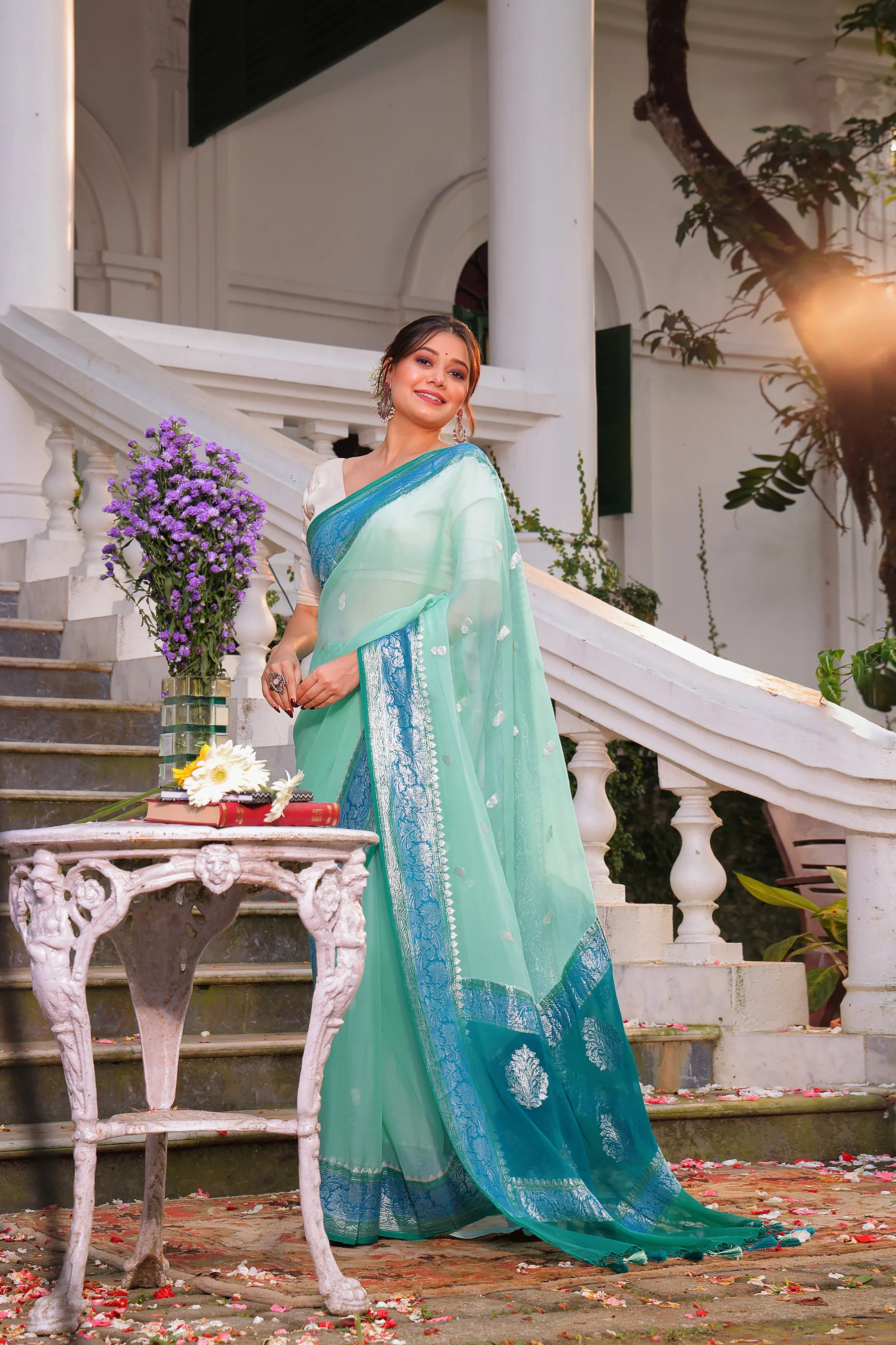 Chiffon Banarasi - Image 4