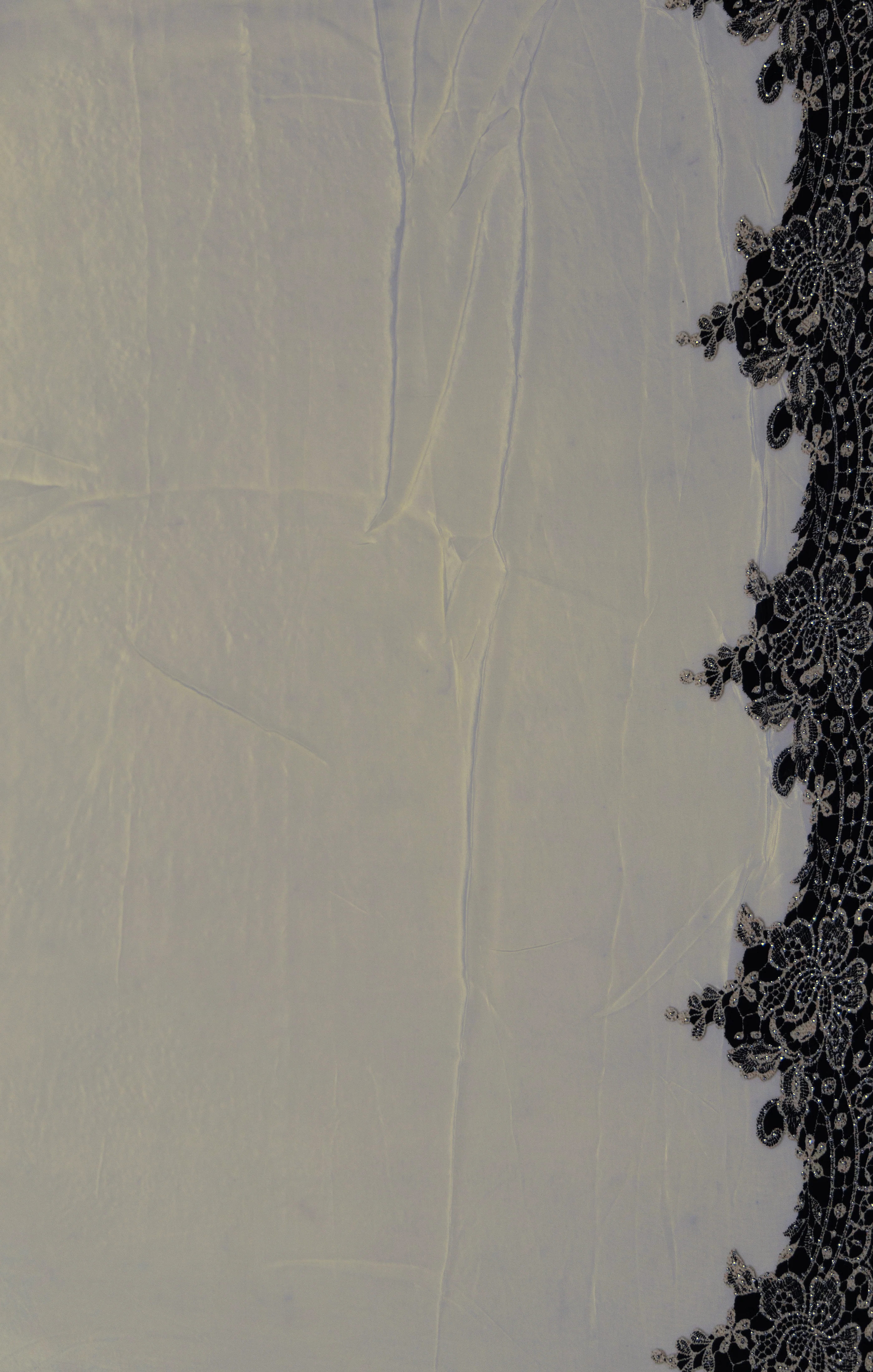 Chiffon Swarovski Saree - Image 5