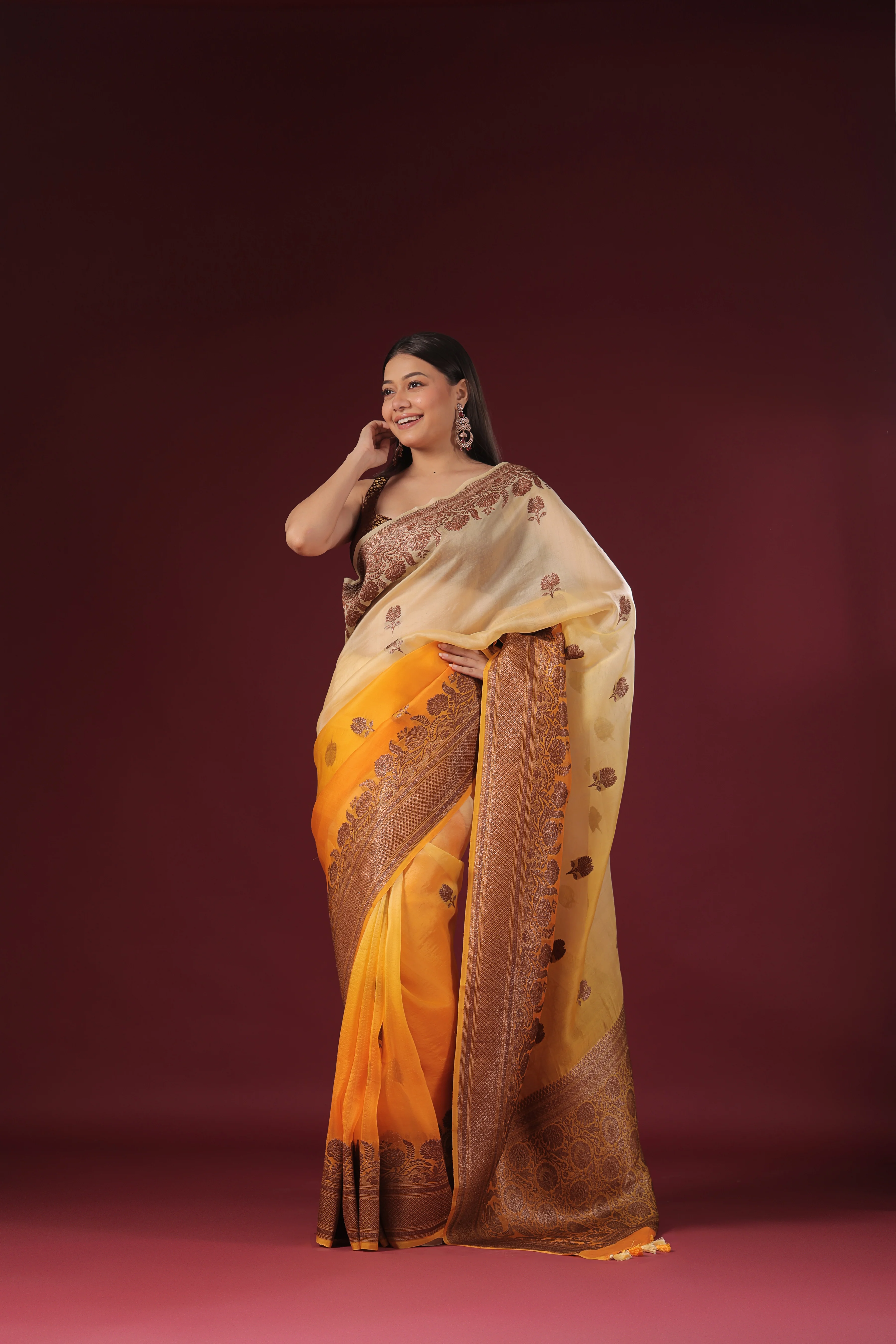 Shaded Kora Banarasi - Image 3