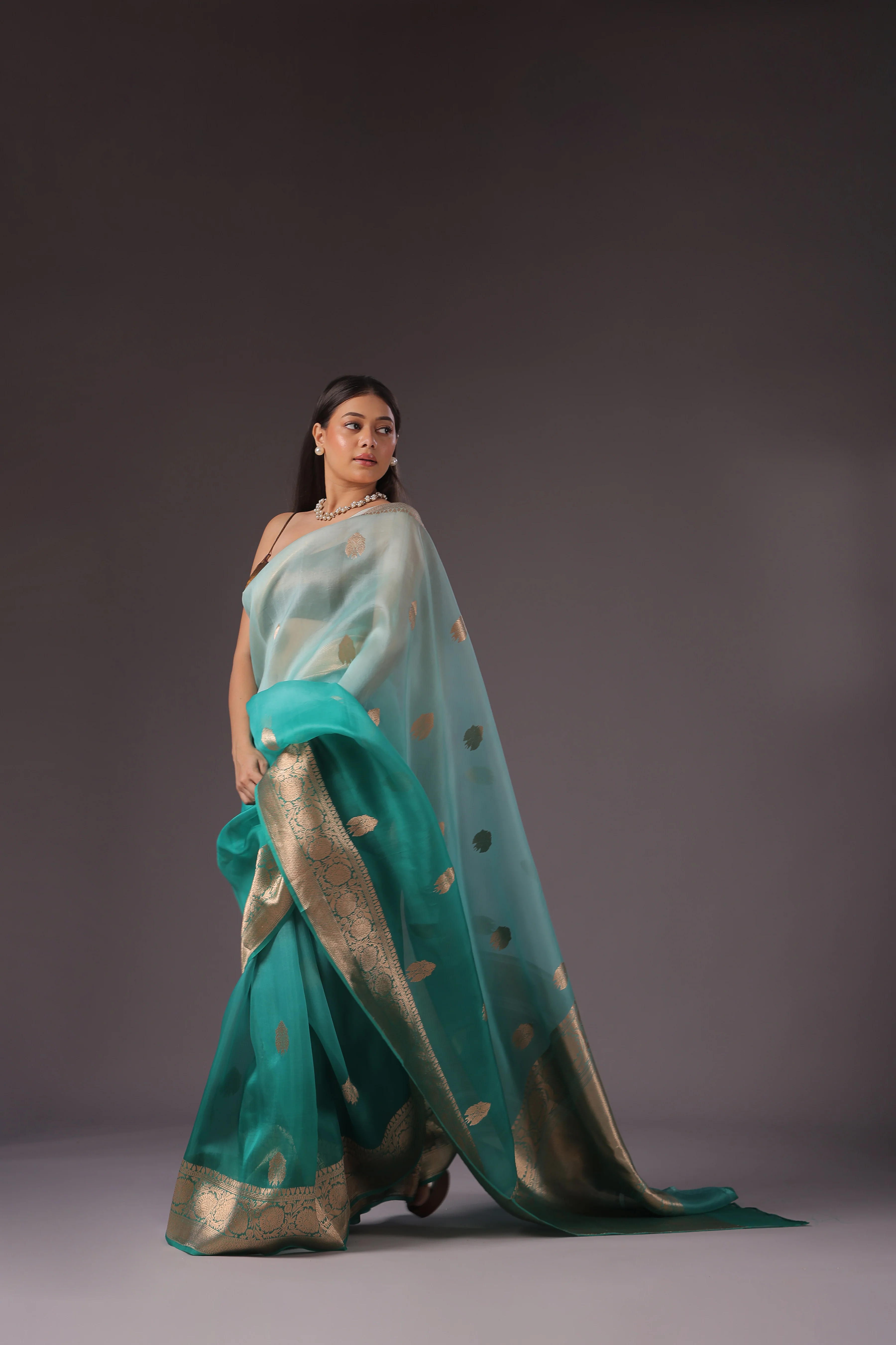 Shaded Kora Banarasi - Image 3