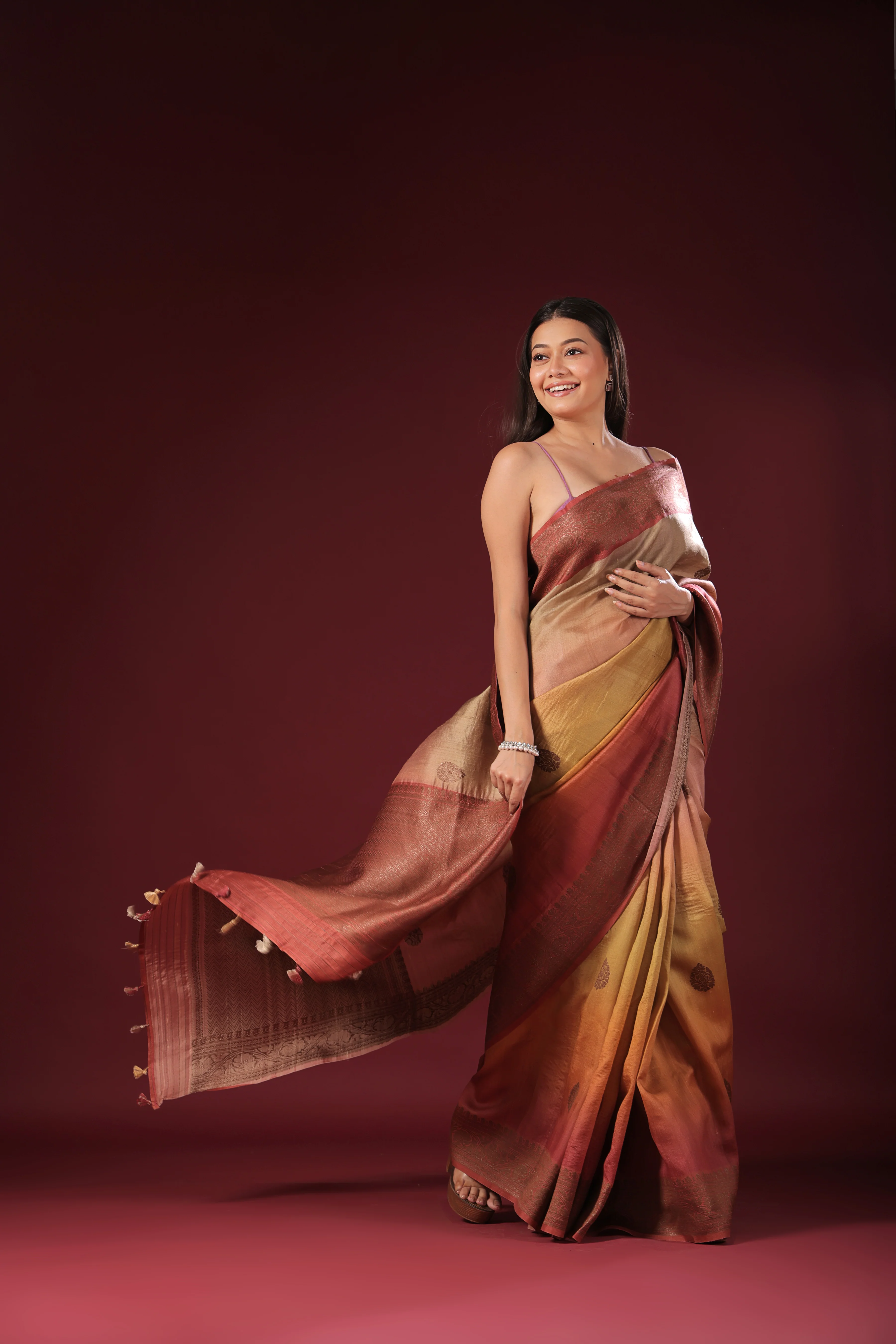 Shaded Tussar Banarasi - Image 3