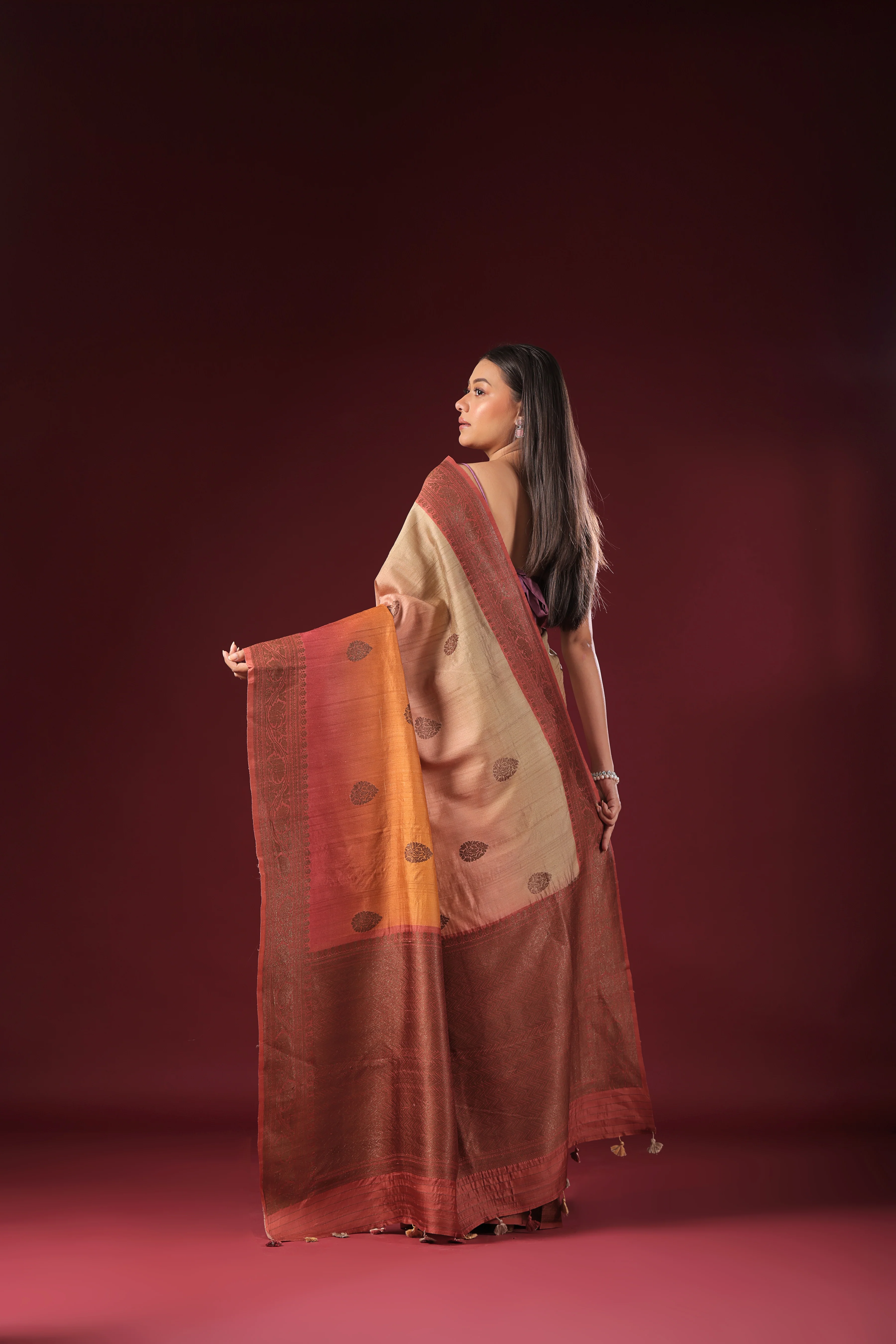 Shaded Tussar Banarasi - Image 4